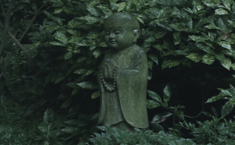 修行是修自己的心，扩展心量超越自己