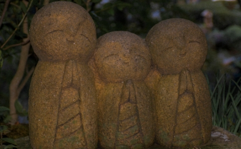 尊重自已，也尊重别人，尊重一切众生