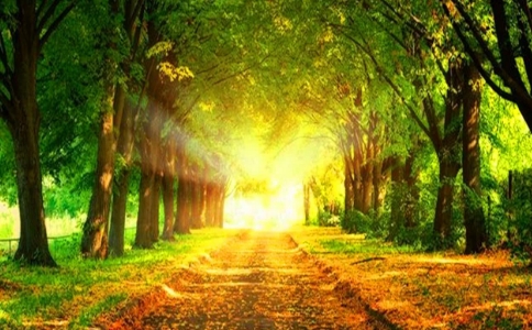 空性的智慧是一心三观的前方便