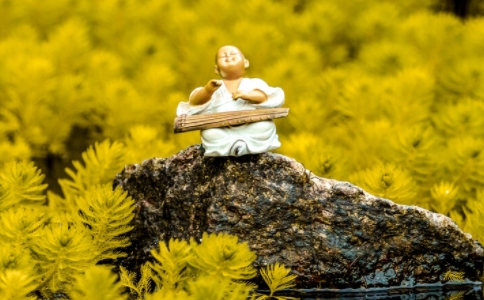 心与美好的邂逅，心美好世界就美好