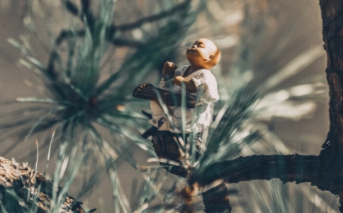 愚痴与生死是什么意思？愚痴生死的典故