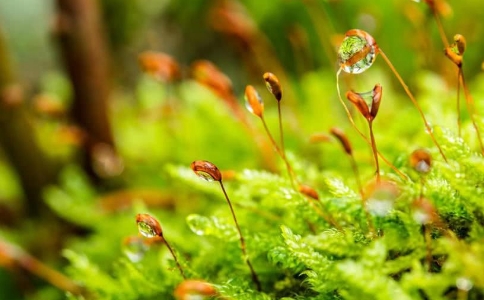 凡事欲速则不达，须静待成熟的时机
