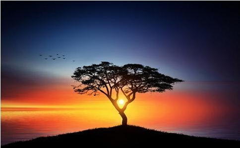 什么叫破坏善根？淫戒的问题是什么？