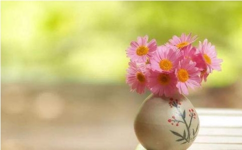 “佛法无量义，一以净为本”是什么意思？