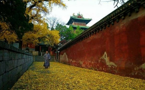 印祖《文钞》不赞成出家是跟环境有关吗？如何看待？