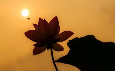 如何理解法从缘起、果从因生？严守本分