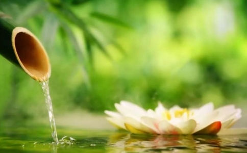 为什么高僧大德们都极力强调持名念佛？