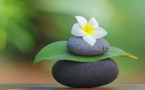 本本分分的生活