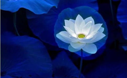 十念法什么时候念？洗漱清洁之后功课之前来念