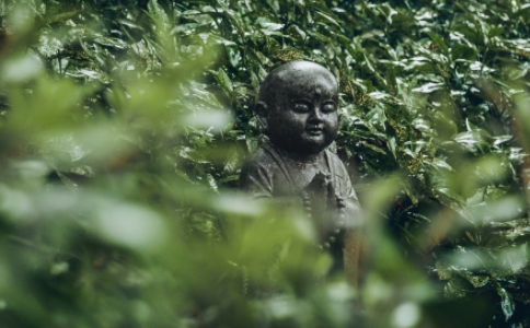 犯了小妄语戒，要怎么忏悔才算清净？