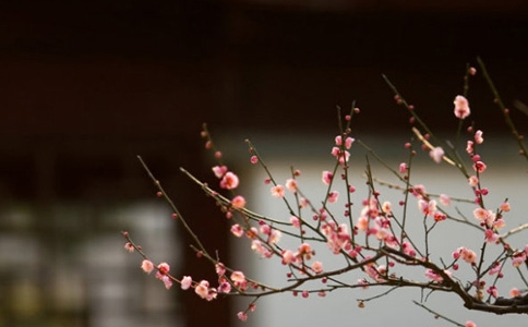 如果一切虚妄不实那有必要去分辨是非善恶吗？