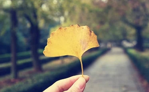 除了名利，情执也是修行的大障碍