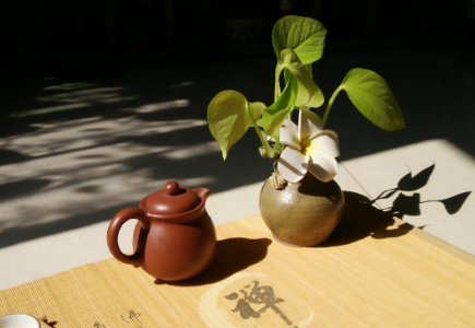 什么是生活禅？生活禅理念