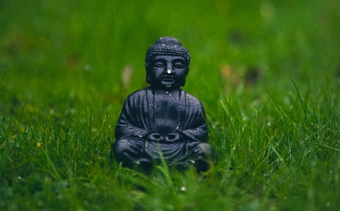 从污秽烦恼中自救，出离烦恼，得到解脱