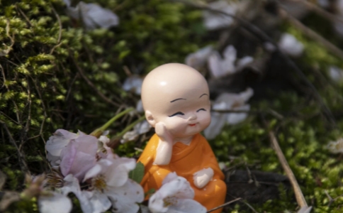 学佛人要修习善语，行诸善业，利益他人，成就自己