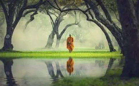 如何保护环境？禅法是否对环保有所贡献？