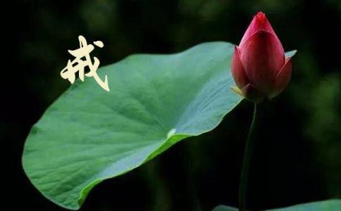 若无受持八关斋戒该怎样忏悔？