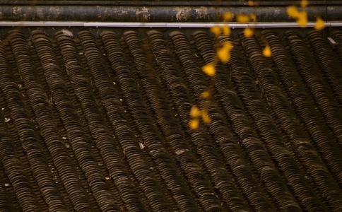 山僧的幸福，无事是贵人的禅境才是最幸福的事情