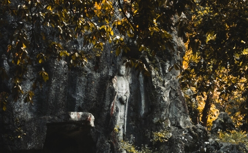 不发菩提心，只念佛可以往生吗？