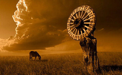 人身难得 佛法难闻