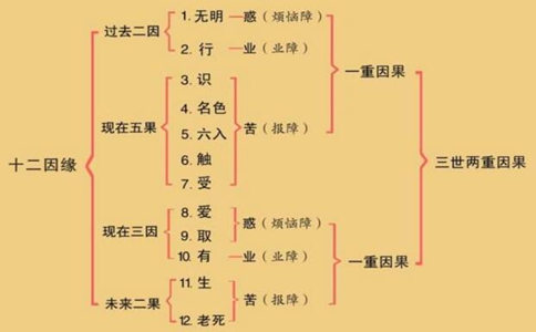 有情生命循环的过程（十二缘起）