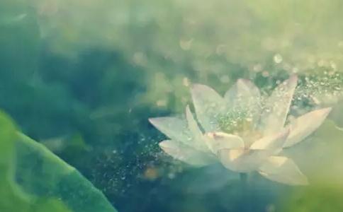 正确认识因果与福报