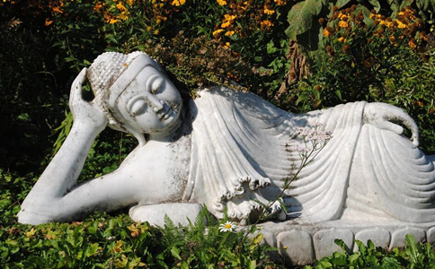 释迦牟尼佛有什么不同于世人的德行智慧？