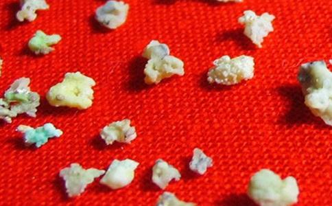 什么是舍利花？舍利花几则实例故事