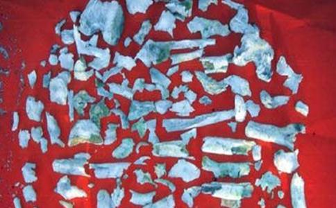 舍利子与舍利花有什么区别？舍利子与舍利花的区别