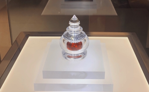 舍利的含义是让大家舍利利益吗？