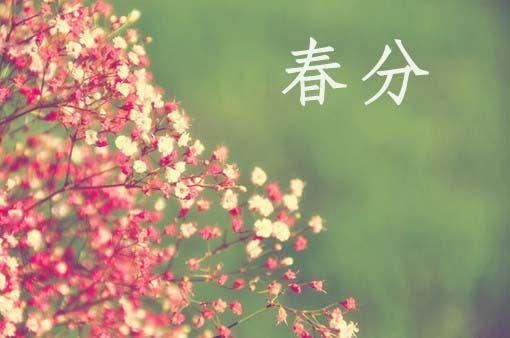春分养生为一年的健康打基础