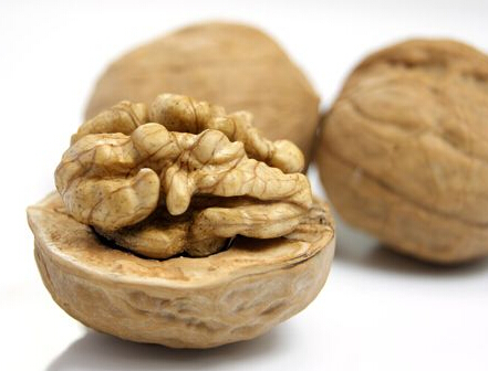 世界四大干果之核桃