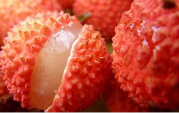 荔枝食疗功效多