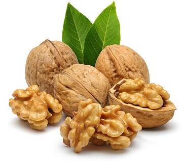核桃搭配两宝，补肾养生翻倍出奇效