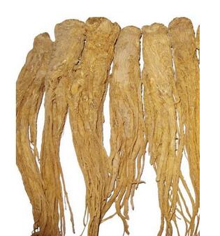 补血养血当归的十二大功效