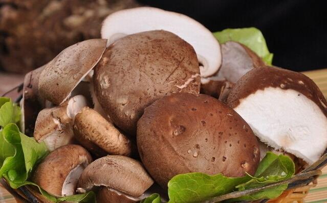 素中之美：香菇