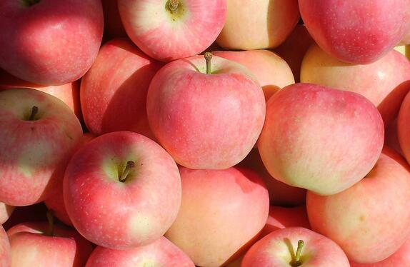 苹果对我们的健康起到哪些功效