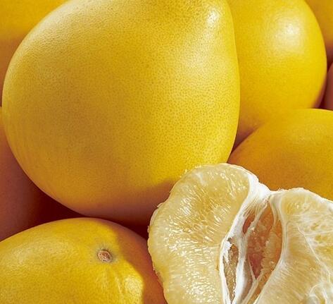 冬吃柚子保健康