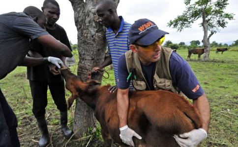 彼得·辛格教授谈动物保护、肉食与素食
