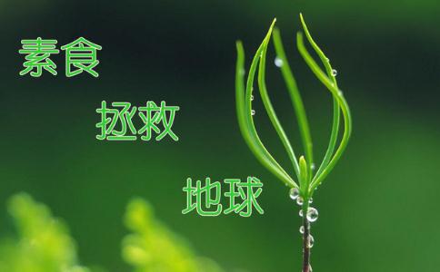 素食主义能拯救世界吗？