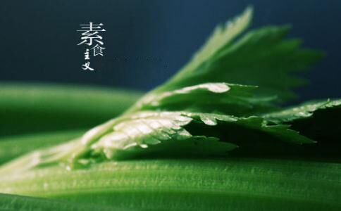 素食主义是爱的征途