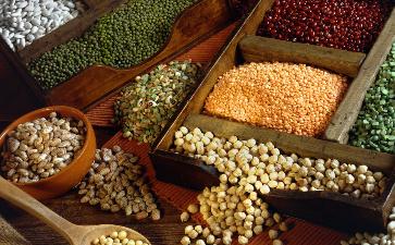 夏季吃肉不如吃豆