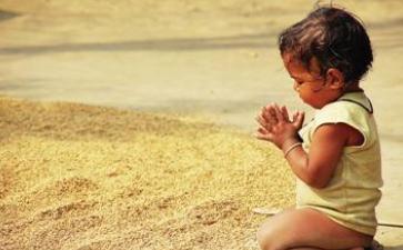 披露流行饮食观念中的种种误区