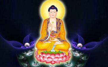 保护平衡自然生态推崇佛教戒杀素食