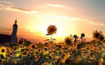 吃肉的人没资格谈环保