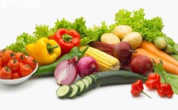 素食与肉食的比较