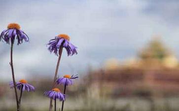 让健康从心开始