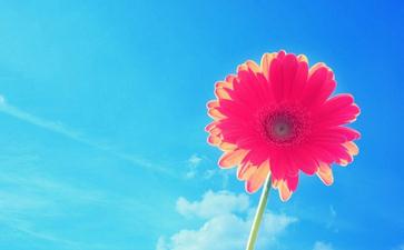 七种戒肉的秘诀