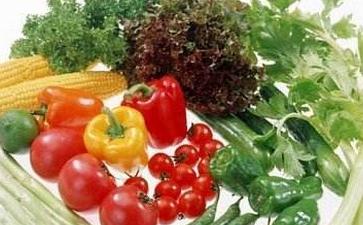 肉食是心灵的毒药，而素食却可以让人气脉畅通