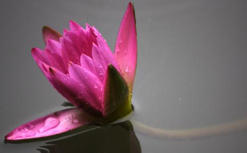 真诚希望更多的人来吃素！